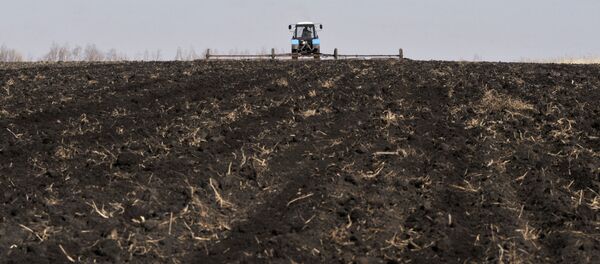 Пасяўныя работы, архіўнае фота Пасяўныя работы, архіўнае фота - Sputnik Беларусь