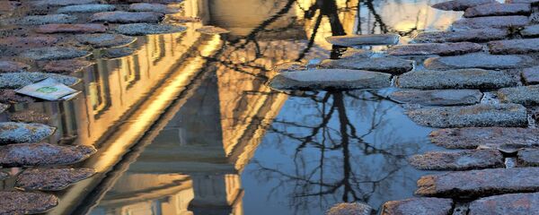 Лужына на брукаванцы Лужына на брукаванцы - Sputnik Беларусь