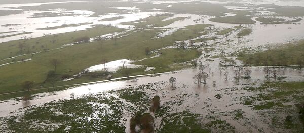 Правительство австралийского штата Новый Южный Уэльс объявило пять северных районов, где произошли наводнения, зонами стихийного бедствия - Sputnik Беларусь