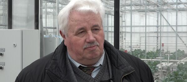 Ученый рассказал секреты выращивания арбузов в Беларуси - Sputnik Беларусь