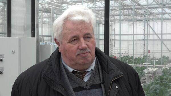 Ученый рассказал секреты выращивания арбузов в Беларуси - Sputnik Беларусь