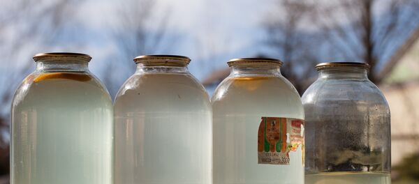 Березовый сок - Sputnik Беларусь