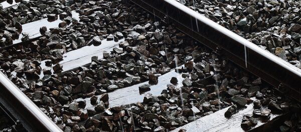 Рельсы железной дороги, архивное фото Рельсы железной дороги, архивное фото - Sputnik Беларусь