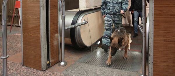 Усиление мер безопасности в Санкт-Петербурге Усиление мер безопасности в Санкт-Петербурге - Sputnik Беларусь