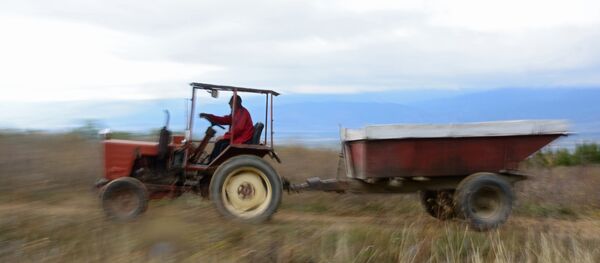 Мужчина на тракторе, архивное фото - Sputnik Беларусь