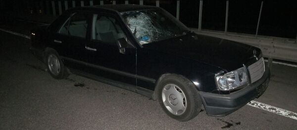 Мерседес, сбивший пешехода - Sputnik Беларусь