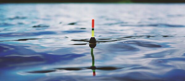 Поплавок - Sputnik Беларусь