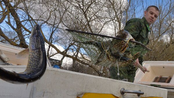 Новый закон в сфере рыболовства появится в Беларуси