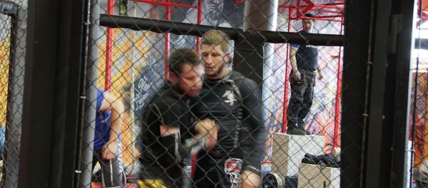 Чемпионат Республики Беларусь по панкратиону пройдет 9 апреля - Sputnik Беларусь