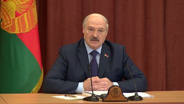 Президент Беларуси Александр Лукашенко на совещании в Академии наук - Sputnik Беларусь