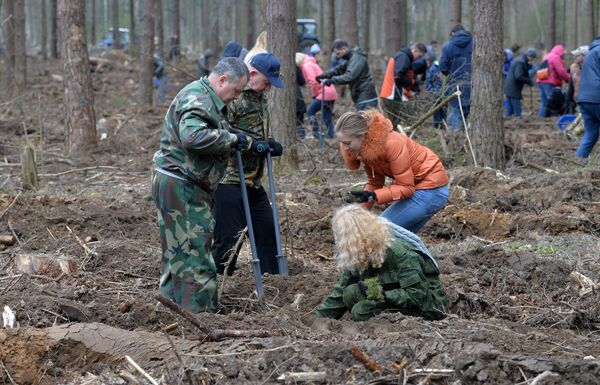 Сотрудники МИД высадили 15 тысяч саженцев  - Sputnik Беларусь