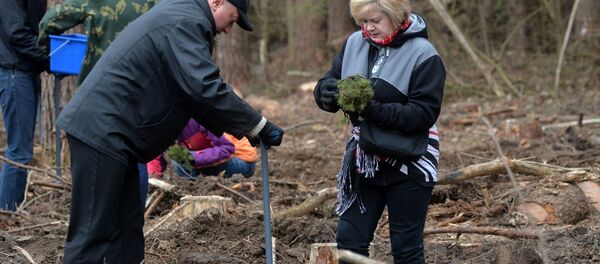 Республиканская акция Неделя леса - Sputnik Беларусь