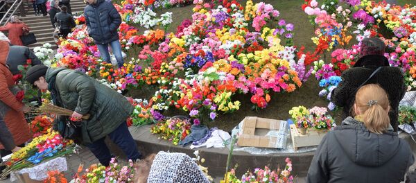 Продаж пластыкавых кветак Продаж пластыкавых кветак - Sputnik Беларусь