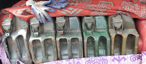 Канистры в багажнике автомобиля, архивное фото - Sputnik Беларусь