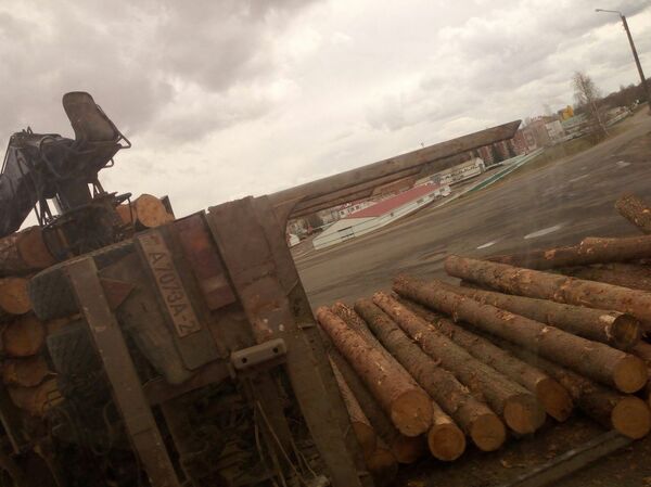 Перевернувшийся прицеп лесовоза Перевернувшийся прицеп лесовоза - Sputnik Беларусь