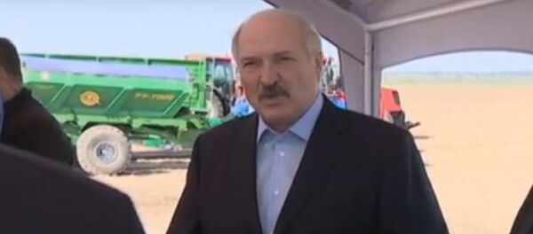 Президент Беларуси Александр Лукашенко - Sputnik Беларусь