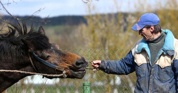 Конь в деревне - Sputnik Беларусь