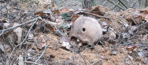 Череп в урочище Хайсы Череп в урочище Хайсы - Sputnik Беларусь