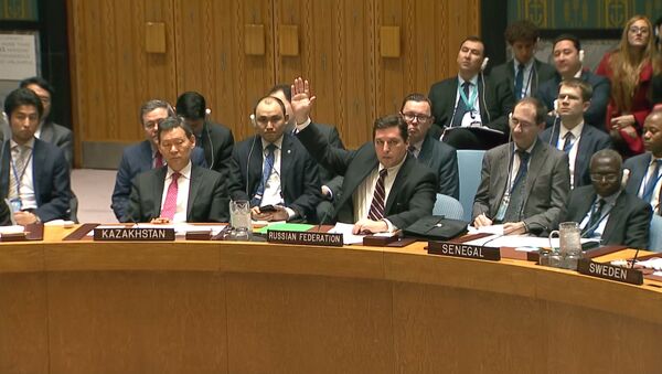 Россия в СБ ООН заблокировала проект резолюции по Сирии - Sputnik Беларусь