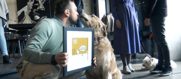 Видеофакт: минский бар получил статус dog friendly - Sputnik Беларусь