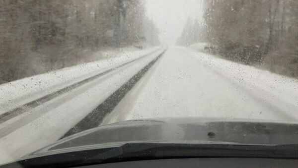 Мокрый снег в Мядельском районе - Sputnik Беларусь