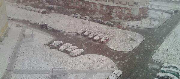 Апрельский снегопад в Витебске - Sputnik Беларусь