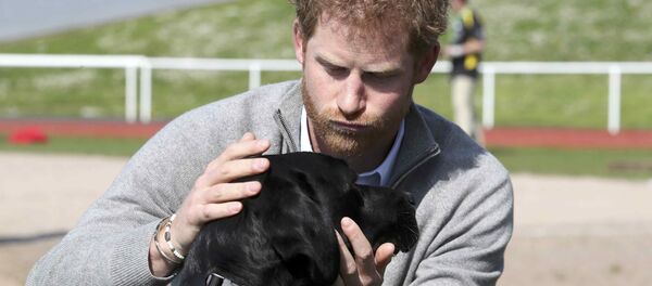 Принц Гарри Принц Гарри - Sputnik Беларусь