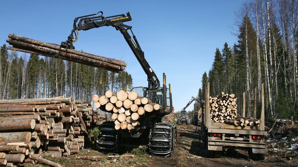 Заготовка леса, архивное фото - Sputnik Беларусь
