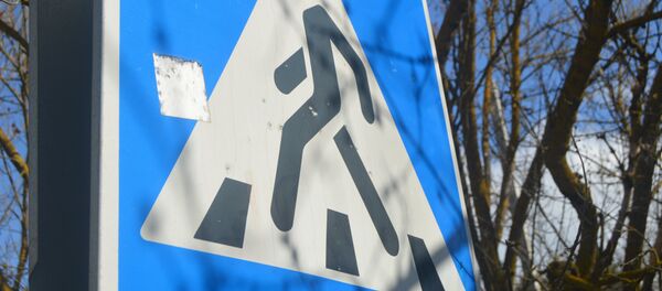 Знак пешеходного перехода - Sputnik Беларусь
