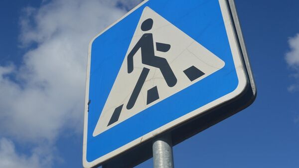 Знак пешеходного перехода - Sputnik Беларусь