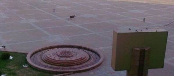 Лось в центре Витебска - Sputnik Беларусь