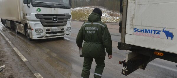 Работа пограничников в пункте пропуска Каменный Лог, архивное фото - Sputnik Беларусь