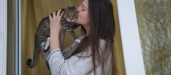 Коша Мурка - Sputnik Беларусь