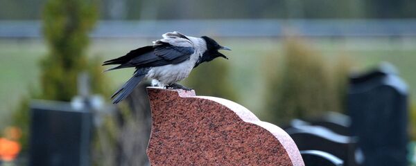 Радаўніца: традыцыі і забароны свята Радаўніца: традыцыі і забароны свята - Sputnik Беларусь