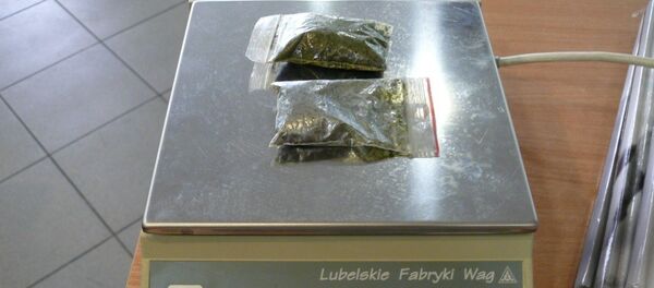 Обнаруженные у белоруса пакетики с наркотиком - Sputnik Беларусь