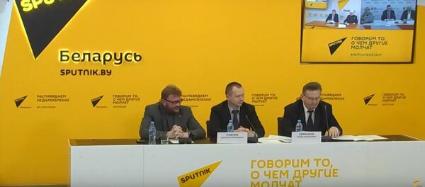 Эксперты обсудили вопросы ликвидации последствий аварии на ЧАЭС - Sputnik Беларусь