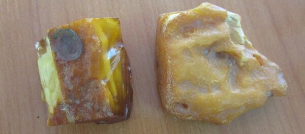 Янтарь, обнаруженный в МПО - Sputnik Беларусь