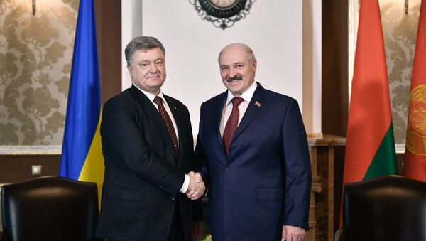 Переговоры с Президентом Украины Петром Порошенко, 26 апреля 2017 года - Sputnik Беларусь