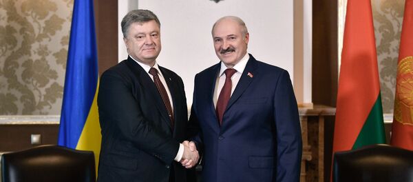 Переговоры с Президентом Украины Петром Порошенко, 26 апреля 2017 года - Sputnik Беларусь