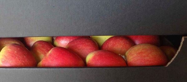 Незаконно перемещаемые яблоки - Sputnik Беларусь