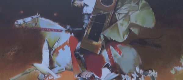 Мікіта Моніч правёў экскурсію па Залатой калекцыі жывапісу - Sputnik Беларусь