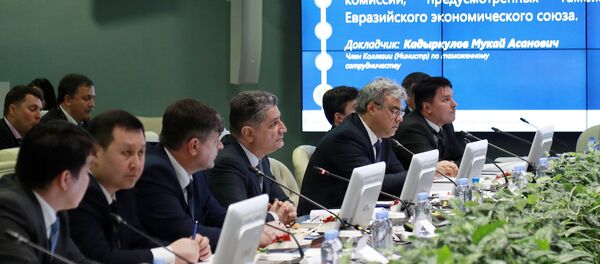 Совет Евразийской экономической комиссии Совет Евразийской экономической комиссии - Sputnik Беларусь