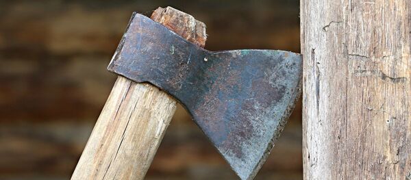 Топор, архивное фото - Sputnik Беларусь