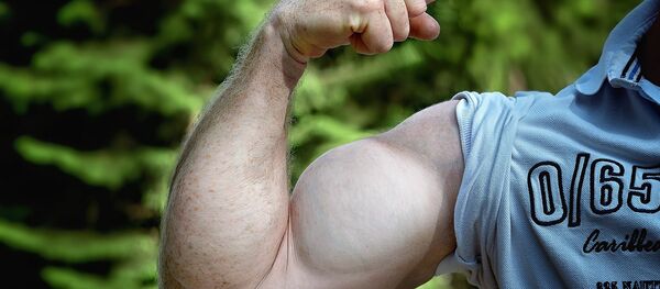 Мускулы, архивное фото - Sputnik Беларусь