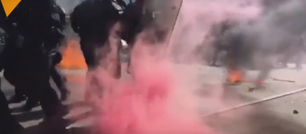 Первомай: от коктейлей Молотова в Париже до поножовщины в Бельгии - Sputnik Беларусь