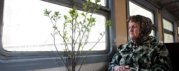 Дачница в электричке, архивное фото Дачница в электричке, архивное фото - Sputnik Беларусь