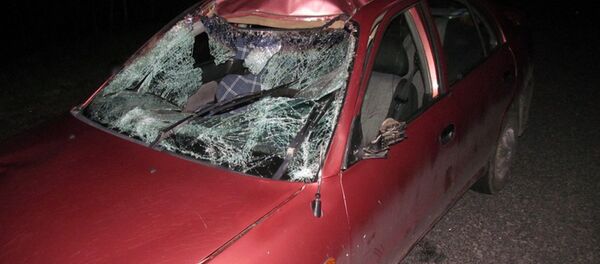 Разбитая в ДТП машина Разбитая в ДТП машина - Sputnik Беларусь