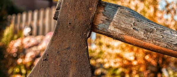 Топор, архивное фото - Sputnik Беларусь