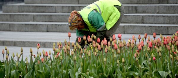 Работница коммунального хозяйства - Sputnik Беларусь