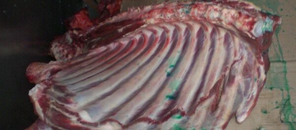 Покрашенное зеленкой мясо - Sputnik Беларусь